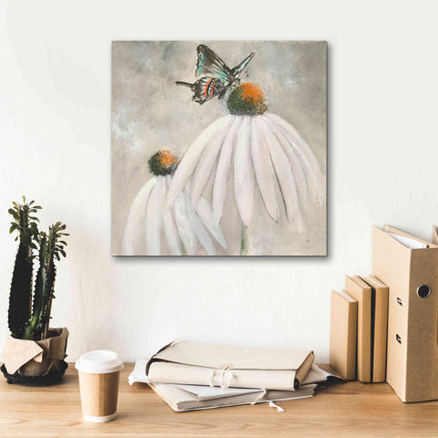 Image of 'Butterflies Are Free I' by Chris Paschke, Giclee Canvas Wall Art,18 x 18