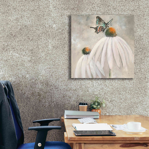 Image of 'Butterflies Are Free I' by Chris Paschke, Giclee Canvas Wall Art,26 x 26