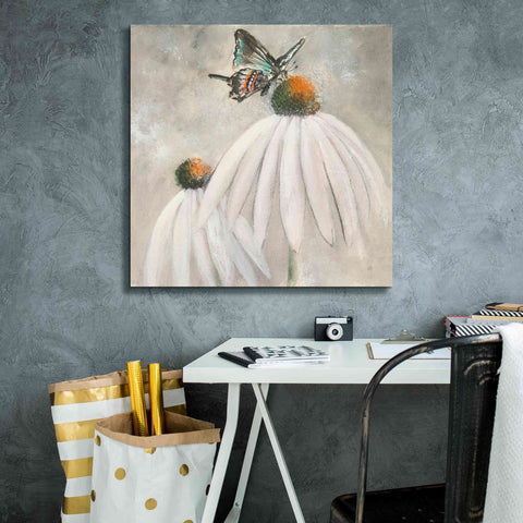 Image of 'Butterflies Are Free I' by Chris Paschke, Giclee Canvas Wall Art,26 x 26
