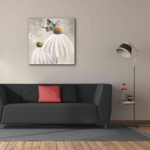 Image of 'Butterflies Are Free I' by Chris Paschke, Giclee Canvas Wall Art,37 x 37