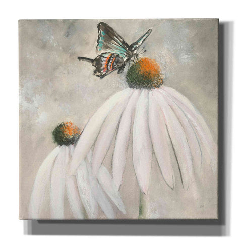 Image of 'Butterflies Are Free I' by Chris Paschke, Giclee Canvas Wall Art