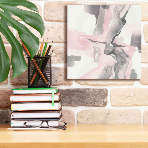 Image of 'Blushing Grey I' by Chris Paschke, Giclee Canvas Wall Art,12 x 12
