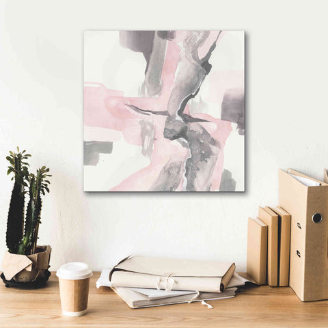 Image of 'Blushing Grey I' by Chris Paschke, Giclee Canvas Wall Art,18 x 18