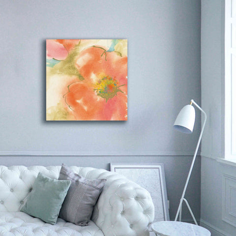 Image of 'Coral Poppy I' by Chris Paschke, Giclee Canvas Wall Art,37 x 37