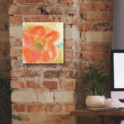 Image of 'Coral Poppy II' by Chris Paschke, Giclee Canvas Wall Art,12 x 12