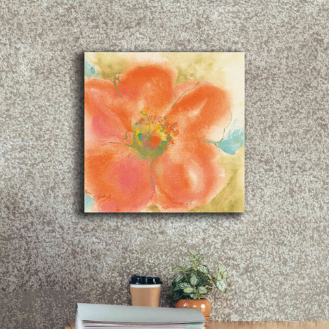 Image of 'Coral Poppy II' by Chris Paschke, Giclee Canvas Wall Art,18 x 18