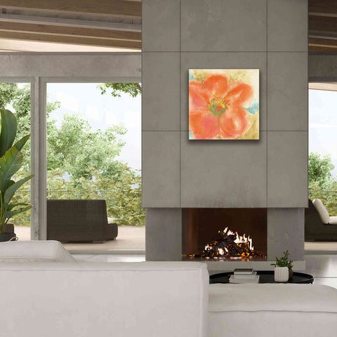 Image of 'Coral Poppy II' by Chris Paschke, Giclee Canvas Wall Art,26 x 26