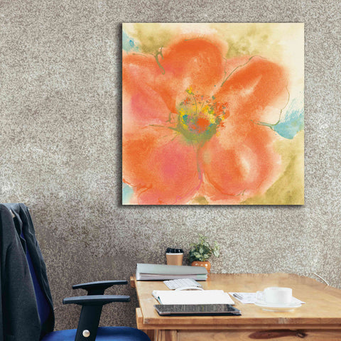 Image of 'Coral Poppy II' by Chris Paschke, Giclee Canvas Wall Art,37 x 37
