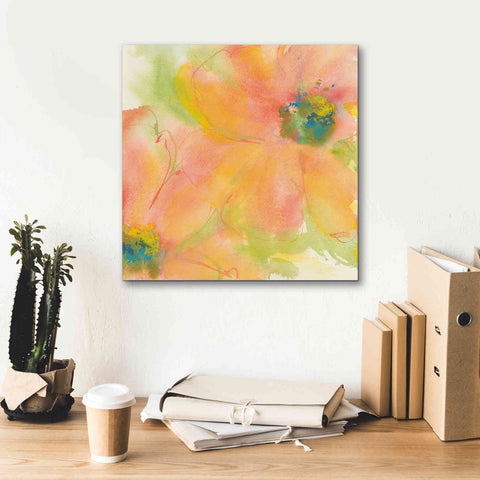 Image of 'Tinted Cosmos II' by Chris Paschke, Giclee Canvas Wall Art,18 x 18