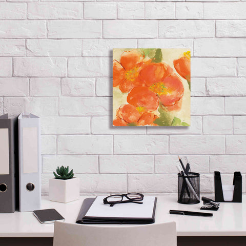 Image of 'Tangerine Poppies I' by Chris Paschke, Giclee Canvas Wall Art,12 x 12