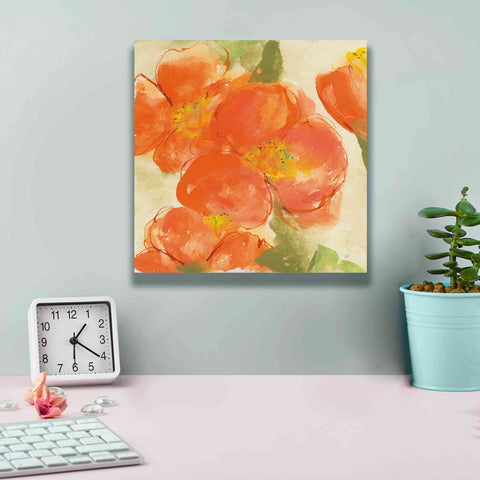 Image of 'Tangerine Poppies I' by Chris Paschke, Giclee Canvas Wall Art,12 x 12