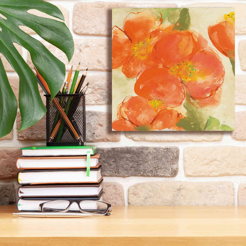 Image of 'Tangerine Poppies I' by Chris Paschke, Giclee Canvas Wall Art,12 x 12