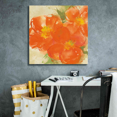 Image of 'Tangerine Poppies II' by Chris Paschke, Giclee Canvas Wall Art,26 x 26
