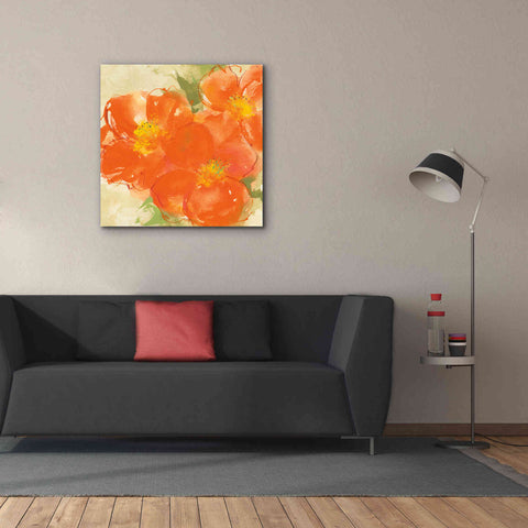 Image of 'Tangerine Poppies II' by Chris Paschke, Giclee Canvas Wall Art,37 x 37
