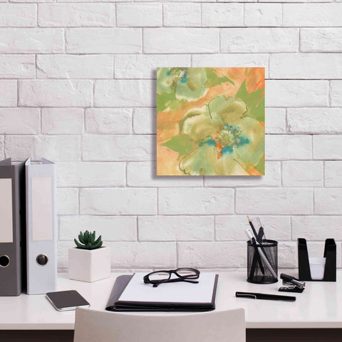 Image of 'Olive Poppy II' by Chris Paschke, Giclee Canvas Wall Art,12 x 12