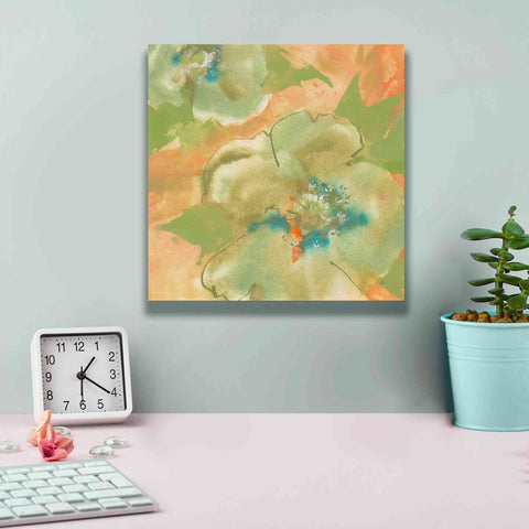 Image of 'Olive Poppy II' by Chris Paschke, Giclee Canvas Wall Art,12 x 12