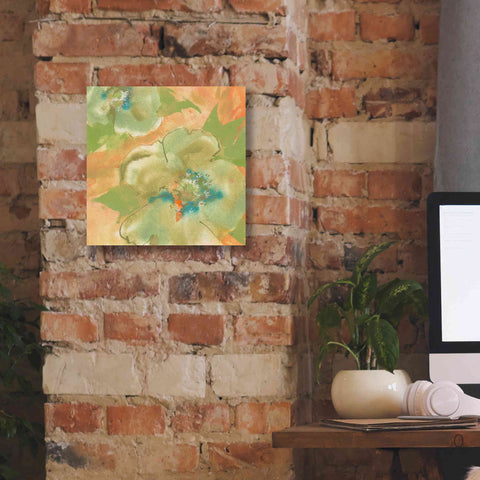 Image of 'Olive Poppy II' by Chris Paschke, Giclee Canvas Wall Art,12 x 12