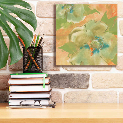 Image of 'Olive Poppy II' by Chris Paschke, Giclee Canvas Wall Art,12 x 12