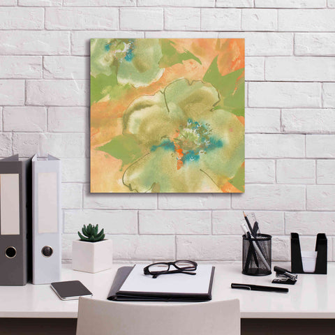 Image of 'Olive Poppy II' by Chris Paschke, Giclee Canvas Wall Art,18 x 18