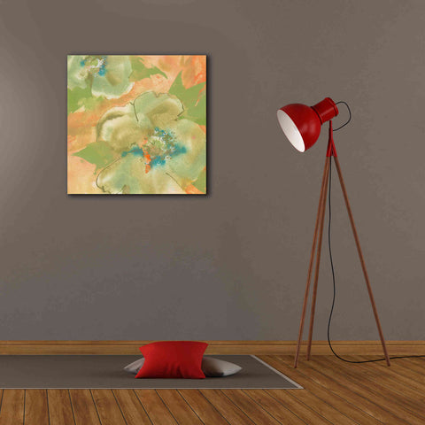 Image of 'Olive Poppy II' by Chris Paschke, Giclee Canvas Wall Art,26 x 26