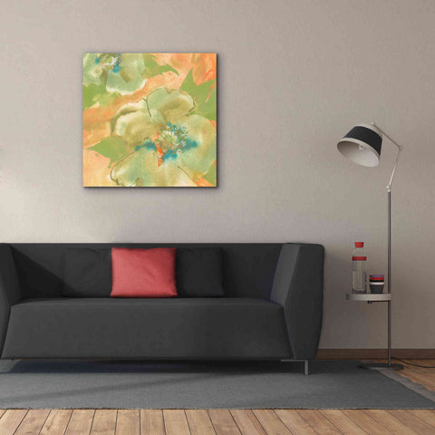 Image of 'Olive Poppy II' by Chris Paschke, Giclee Canvas Wall Art,37 x 37