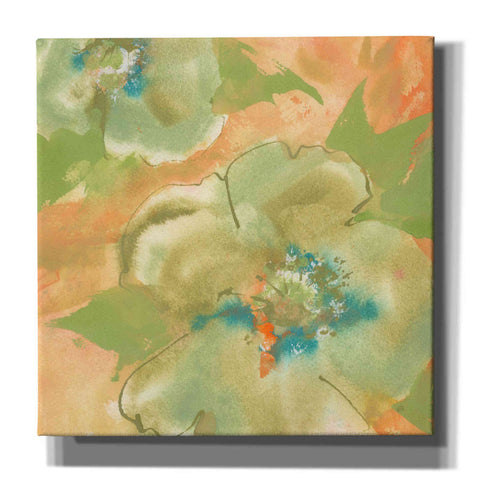 Image of 'Olive Poppy II' by Chris Paschke, Giclee Canvas Wall Art