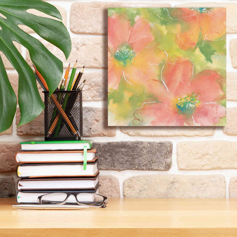 Image of 'Summer Cosmos I' by Chris Paschke, Giclee Canvas Wall Art,12 x 12