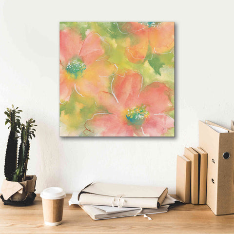 Image of 'Summer Cosmos I' by Chris Paschke, Giclee Canvas Wall Art,18 x 18