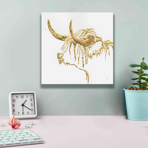 Image of 'Gilded Highlander III' by Chris Paschke, Giclee Canvas Wall Art,12 x 12