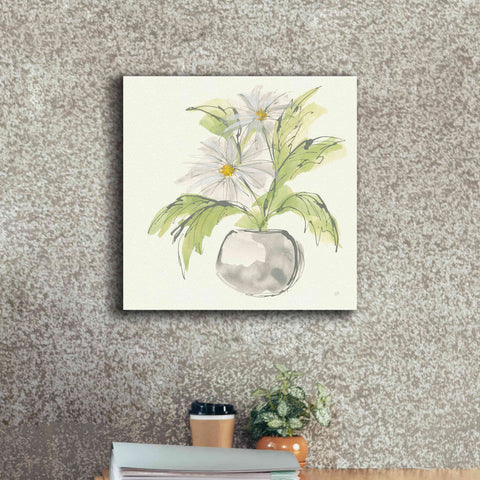 Image of 'Plant Daisy II' by Chris Paschke, Giclee Canvas Wall Art,18 x 18