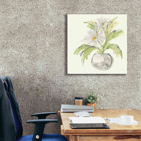 Image of 'Plant Daisy II' by Chris Paschke, Giclee Canvas Wall Art,26 x 26