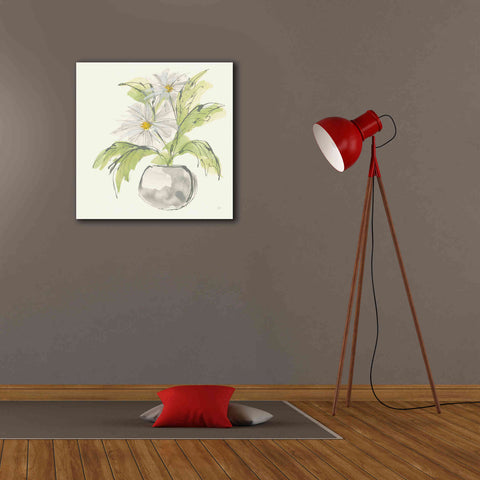Image of 'Plant Daisy II' by Chris Paschke, Giclee Canvas Wall Art,26 x 26