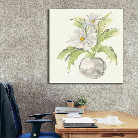 Image of 'Plant Daisy II' by Chris Paschke, Giclee Canvas Wall Art,37 x 37