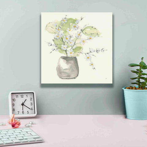 Image of 'Plant Blossom I' by Chris Paschke, Giclee Canvas Wall Art,12 x 12