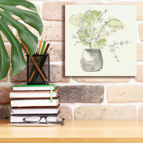 Image of 'Plant Blossom I' by Chris Paschke, Giclee Canvas Wall Art,12 x 12