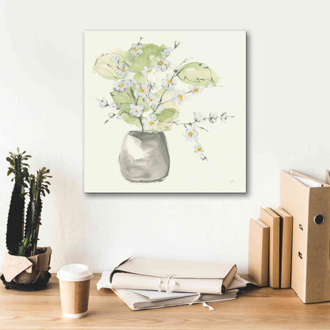 Image of 'Plant Blossom I' by Chris Paschke, Giclee Canvas Wall Art,18 x 18