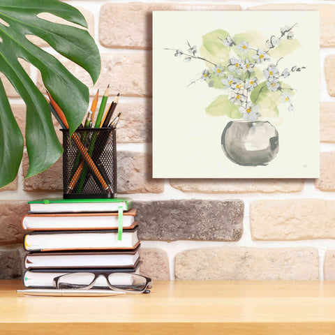 Image of 'Plant Blossom II' by Chris Paschke, Giclee Canvas Wall Art,12 x 12