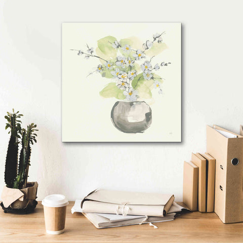 Image of 'Plant Blossom II' by Chris Paschke, Giclee Canvas Wall Art,18 x 18