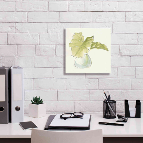 Image of 'Plant Big Leaf I' by Chris Paschke, Giclee Canvas Wall Art,12 x 12
