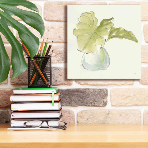 Image of 'Plant Big Leaf I' by Chris Paschke, Giclee Canvas Wall Art,12 x 12