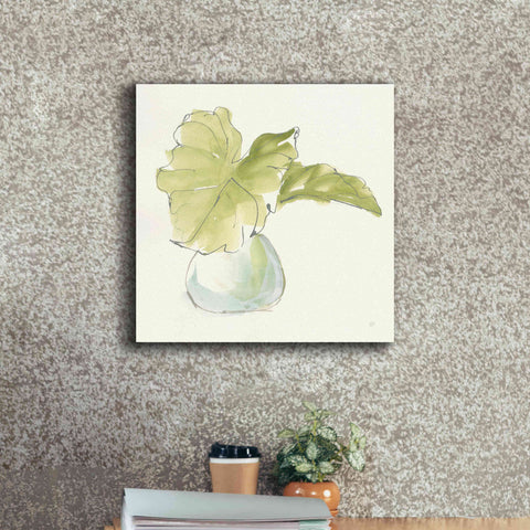 Image of 'Plant Big Leaf I' by Chris Paschke, Giclee Canvas Wall Art,18 x 18
