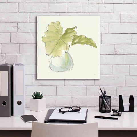 Image of 'Plant Big Leaf I' by Chris Paschke, Giclee Canvas Wall Art,18 x 18