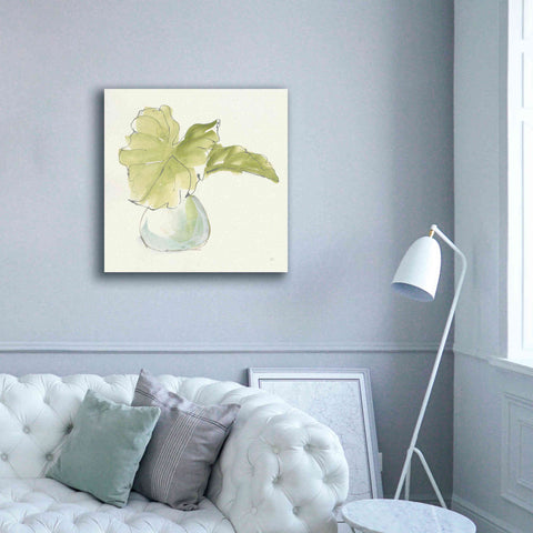 Image of 'Plant Big Leaf I' by Chris Paschke, Giclee Canvas Wall Art,37 x 37