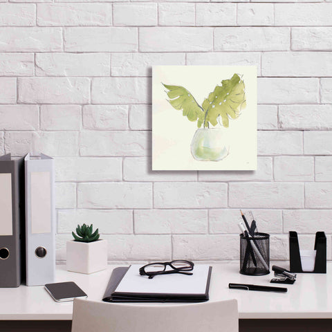 Image of 'Plant Big Leaf II' by Chris Paschke, Giclee Canvas Wall Art,12 x 12