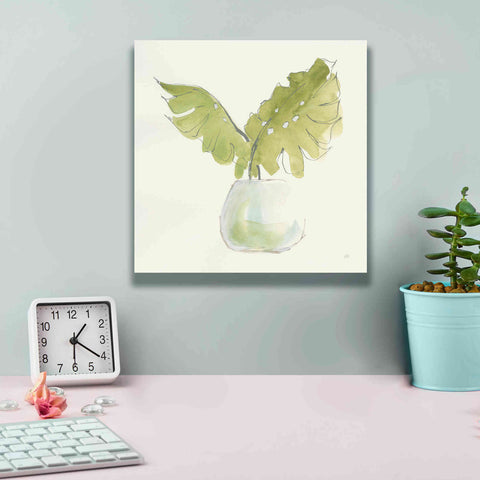 Image of 'Plant Big Leaf II' by Chris Paschke, Giclee Canvas Wall Art,12 x 12