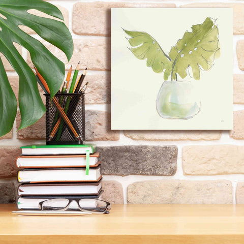 Image of 'Plant Big Leaf II' by Chris Paschke, Giclee Canvas Wall Art,12 x 12