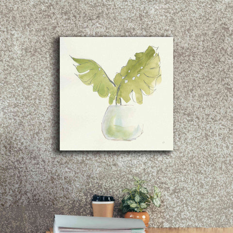 Image of 'Plant Big Leaf II' by Chris Paschke, Giclee Canvas Wall Art,18 x 18