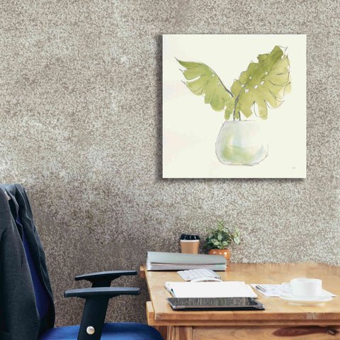 Image of 'Plant Big Leaf II' by Chris Paschke, Giclee Canvas Wall Art,26 x 26