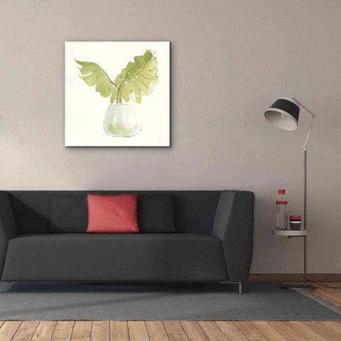 Image of 'Plant Big Leaf II' by Chris Paschke, Giclee Canvas Wall Art,37 x 37