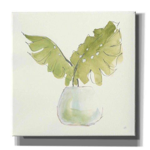 Image of 'Plant Big Leaf II' by Chris Paschke, Giclee Canvas Wall Art